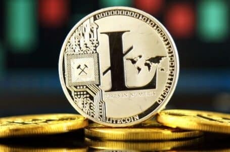 Litecoin (LTC) Loses Value in Double Digits!