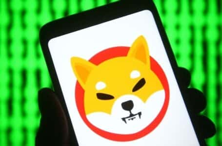 Shiba Inu Burning Campaign Endorsed by NOWPayments