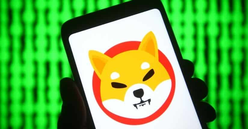 Shiba Inu Burning Campaign Endorsed by NOWPayments